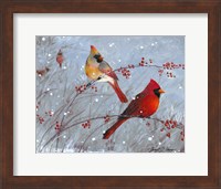 Winter Cardinals Fine Art Print