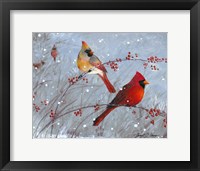 Winter Cardinals Fine Art Print