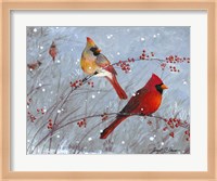 Winter Cardinals Fine Art Print
