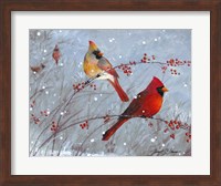 Winter Cardinals Fine Art Print