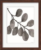 Leaves in Gray I Fine Art Print