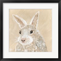 Benny the Bunny Framed Print