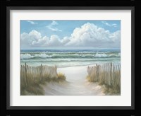 Coastal Fence Fine Art Print