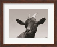 Lake Tobias Goat I Fine Art Print
