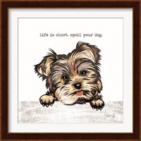 Spoil Your Dog Fine Art Print
