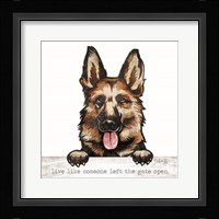 Live Like? Framed Print