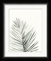 Summer Botanicals 1 Framed Print
