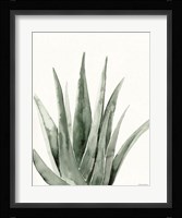 Summer Botanicals 2 Framed Print