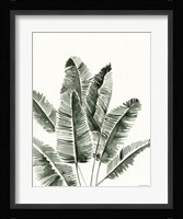 Summer Botanicals 3 Framed Print