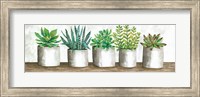 Succulent Pots Fine Art Print