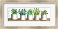 Succulent Pots Fine Art Print