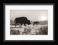 Lamar Valley Migration Fine Art Print