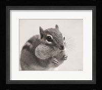 Chippy Fine Art Print