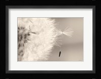 It Only Takes One Fine Art Print