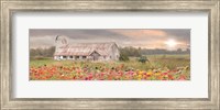 Vermont Country Morning Fine Art Print