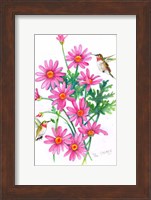 Hummingbirds And Daisies Fine Art Print