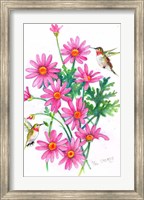 Hummingbirds And Daisies Fine Art Print
