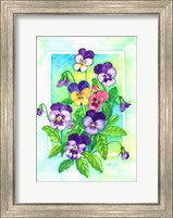 Perky Pansies Fine Art Print