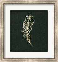 Golden Feather I Fine Art Print