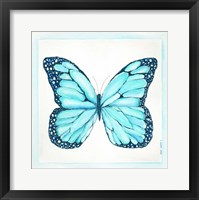Butterfly IV Framed Print