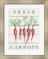 Fresh Carrots Fine Art Print