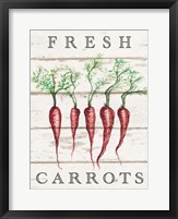 Fresh Carrots Fine Art Print