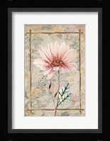 Wildflowers III Fine Art Print
