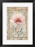 Wildflowers III Fine Art Print