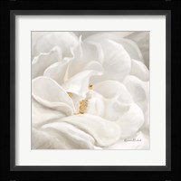 Neutral Rose No. 1 Framed Print
