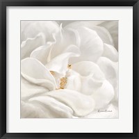 Neutral Rose No. 1 Framed Print