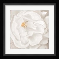 Neutral Rose No. 2 Fine Art Print