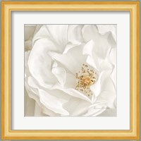 Neutral Rose No. 3 Fine Art Print