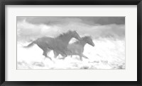 Running Wild  BW Fine Art Print