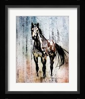 The Mustang King Fine Art Print