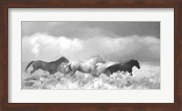 Mustang Herd II BW Fine Art Print