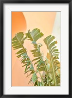 Tropical Dream II Framed Print