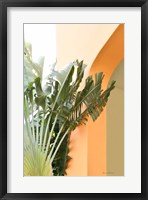Tropical Dream V Framed Print