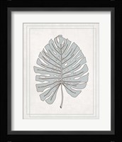 Tropical Monstera III Fine Art Print