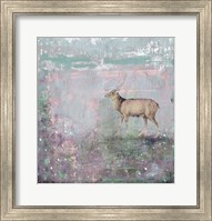 Grey Deer Fine Art Print
