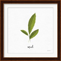 Herbs VII White Fine Art Print