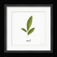 Herbs VII White Framed Print