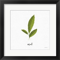 Herbs VII White Framed Print