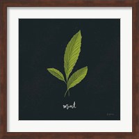 Herbs VII Black Fine Art Print