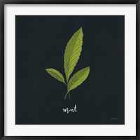 Herbs VII Black Fine Art Print