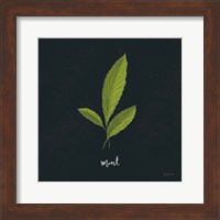 Herbs VII Black Fine Art Print