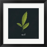 Herbs VII Black Framed Print