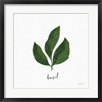 Herbs VI White Fine Art Print
