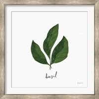 Herbs VI White Fine Art Print