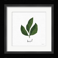 Herbs VI White Fine Art Print