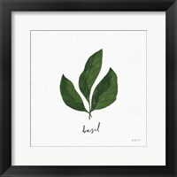Herbs VI White Framed Print